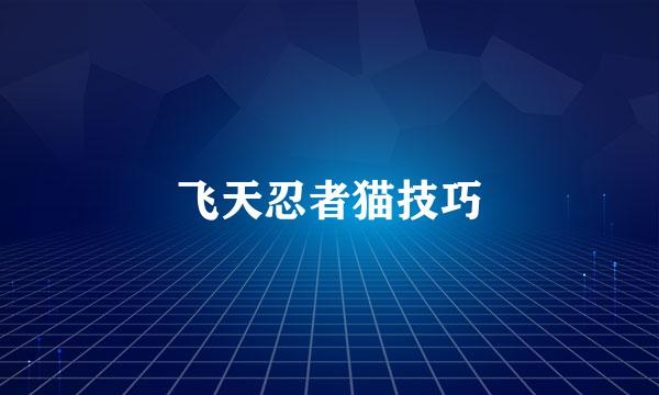 飞天忍者猫技巧