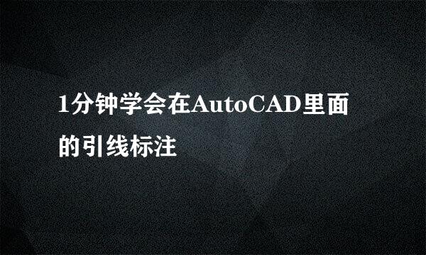 1分钟学会在AutoCAD里面的引线标注