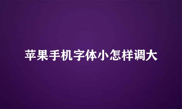 苹果手机字体小怎样调大