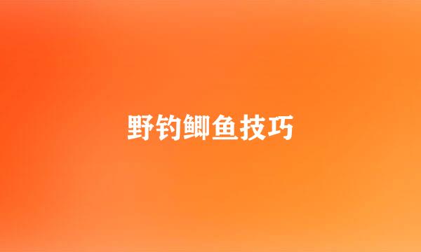 野钓鲫鱼技巧