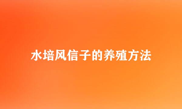 水培风信子的养殖方法