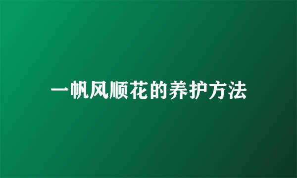 一帆风顺花的养护方法