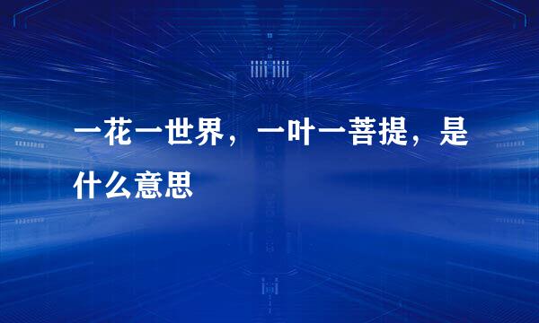 一花一世界，一叶一菩提，是什么意思