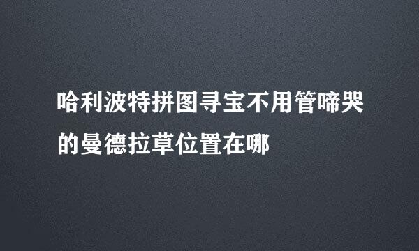 哈利波特拼图寻宝不用管啼哭的曼德拉草位置在哪
