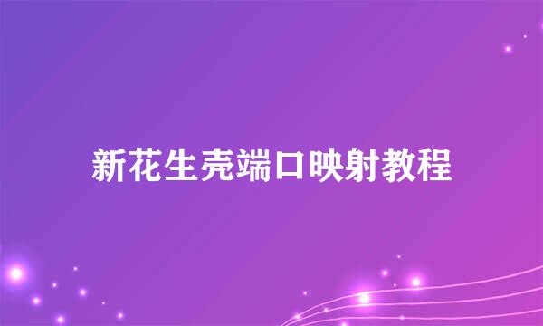 新花生壳端口映射教程