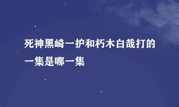 死神黑崎一护和朽木白哉打的一集是哪一集