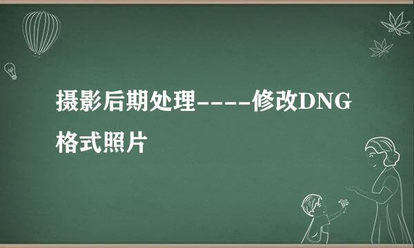 摄影后期处理----修改DNG格式照片