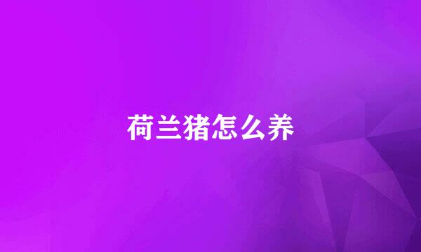 荷兰猪怎么养