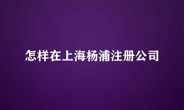 怎样在上海杨浦注册公司