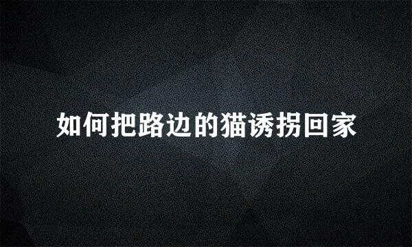 如何把路边的猫诱拐回家