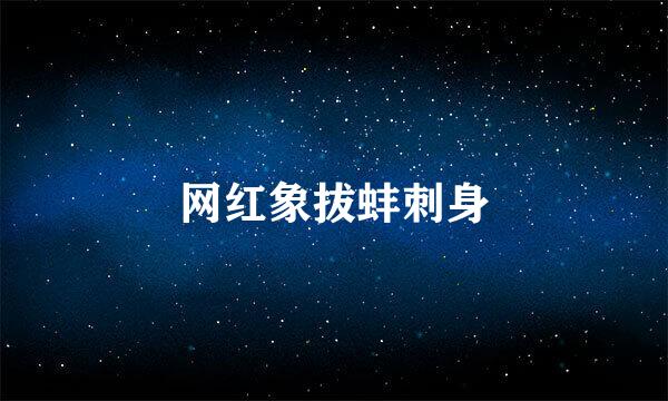 网红象拔蚌刺身