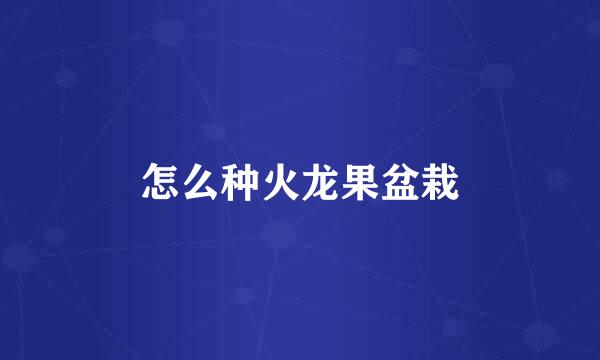 怎么种火龙果盆栽