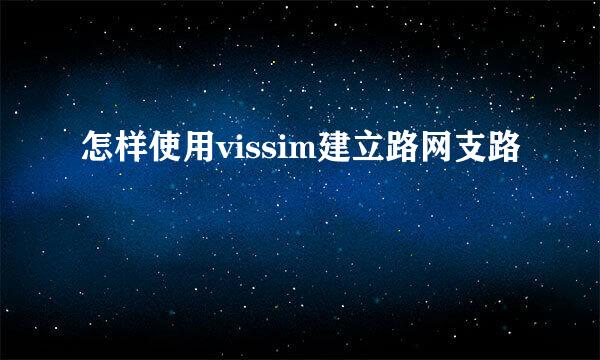 怎样使用vissim建立路网支路