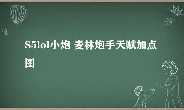 S5lol小炮 麦林炮手天赋加点图