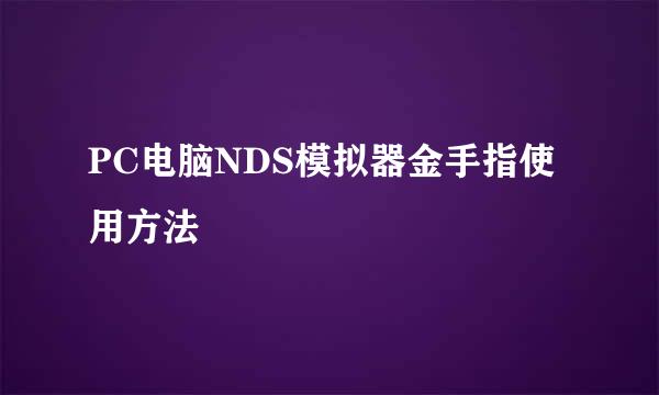 PC电脑NDS模拟器金手指使用方法