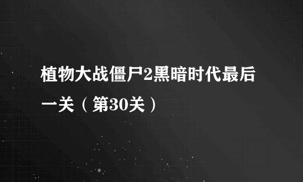 植物大战僵尸2黑暗时代最后一关（第30关）