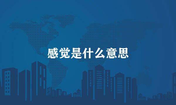 感觉是什么意思