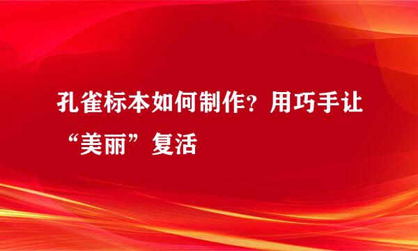 孔雀标本如何制作？用巧手让“美丽”复活
