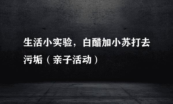 生活小实验，白醋加小苏打去污垢（亲子活动）