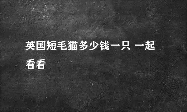 英国短毛猫多少钱一只 一起看看