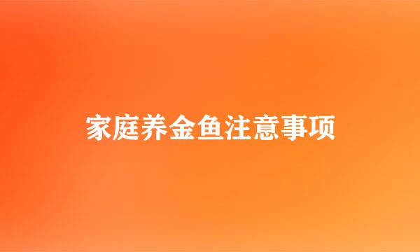 家庭养金鱼注意事项