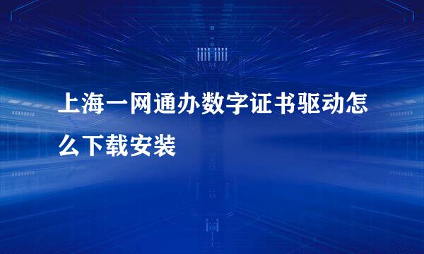 上海一网通办数字证书驱动怎么下载安装