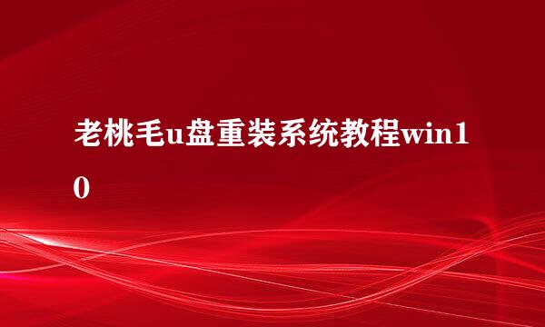 老桃毛u盘重装系统教程win10