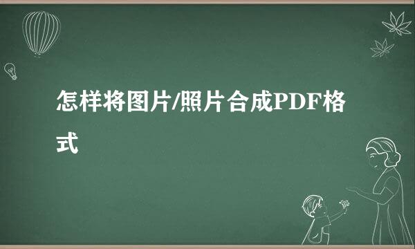 怎样将图片/照片合成PDF格式