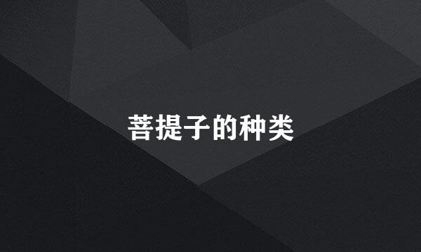 菩提子的种类
