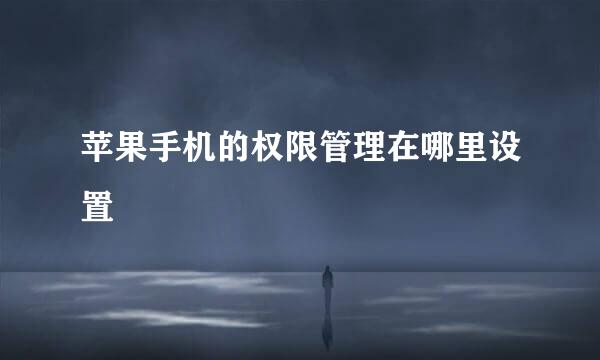 苹果手机的权限管理在哪里设置