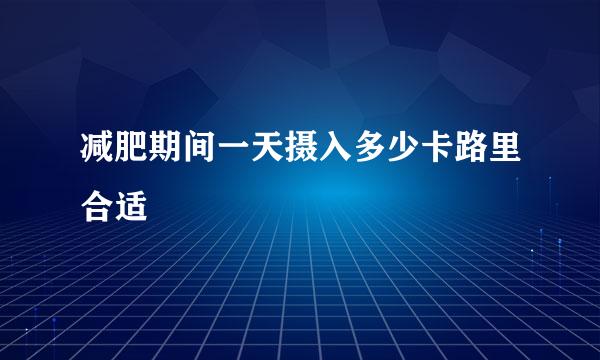 减肥期间一天摄入多少卡路里合适