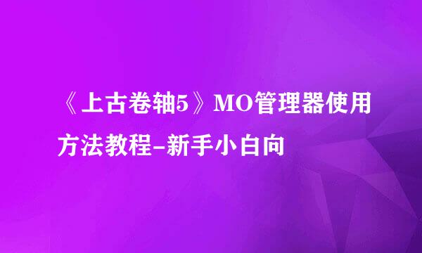 《上古卷轴5》MO管理器使用方法教程-新手小白向