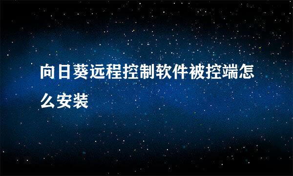 向日葵远程控制软件被控端怎么安装