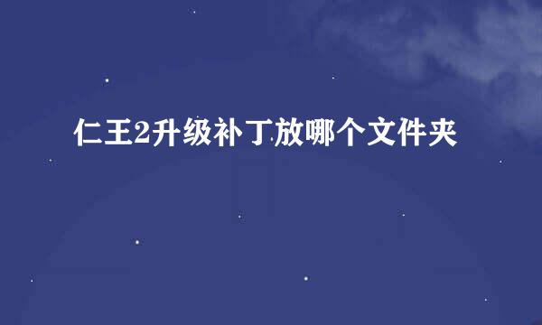 仁王2升级补丁放哪个文件夹