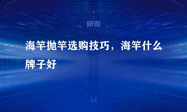 海竿抛竿选购技巧，海竿什么牌子好