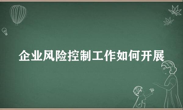 企业风险控制工作如何开展