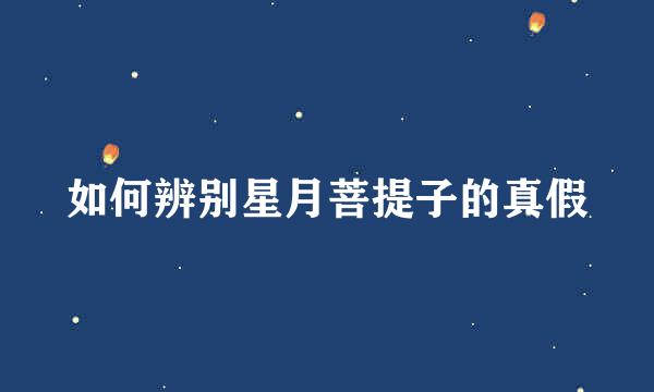 如何辨别星月菩提子的真假