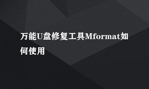 万能U盘修复工具Mformat如何使用