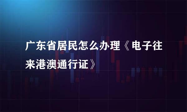 广东省居民怎么办理《电子往来港澳通行证》