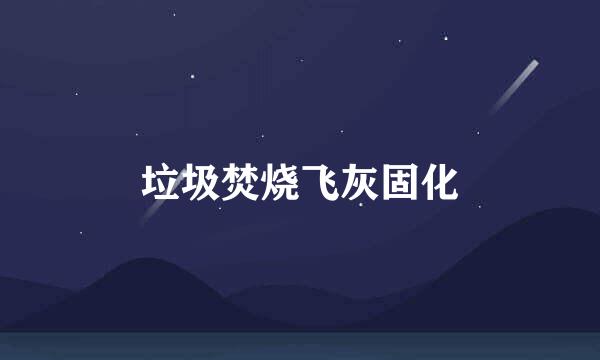 垃圾焚烧飞灰固化