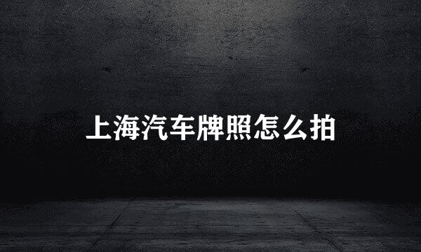 上海汽车牌照怎么拍