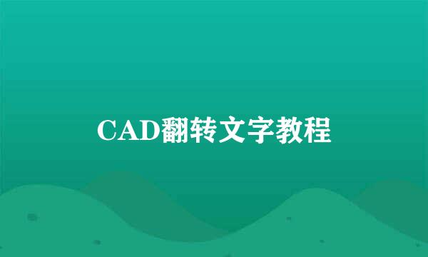 CAD翻转文字教程