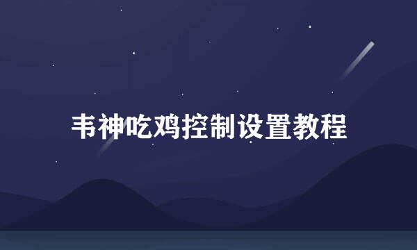 韦神吃鸡控制设置教程