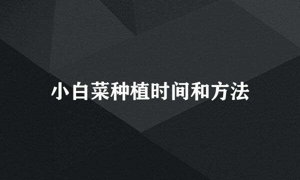 小白菜种植时间和方法