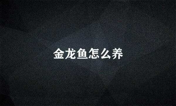 金龙鱼怎么养