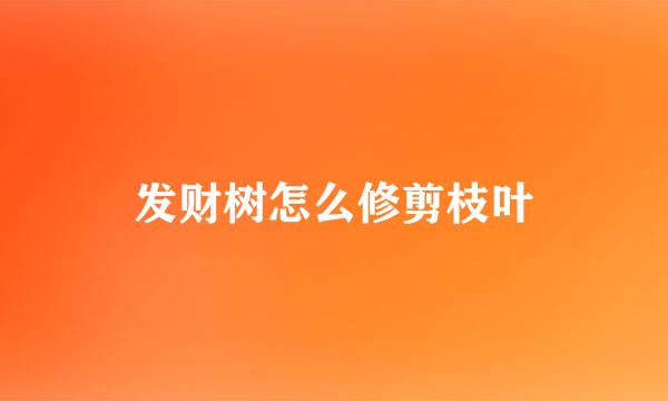 发财树怎么修剪枝叶