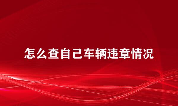 怎么查自己车辆违章情况