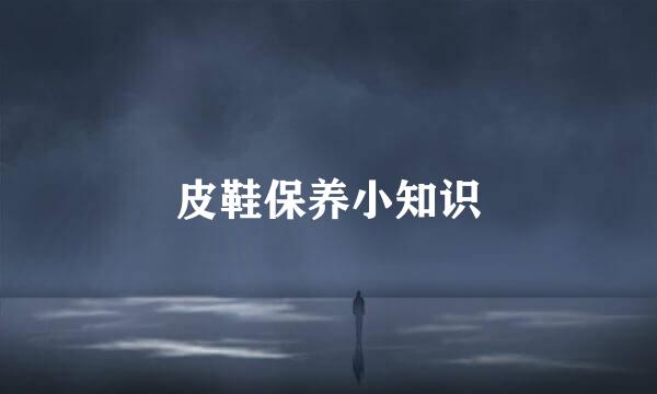 皮鞋保养小知识