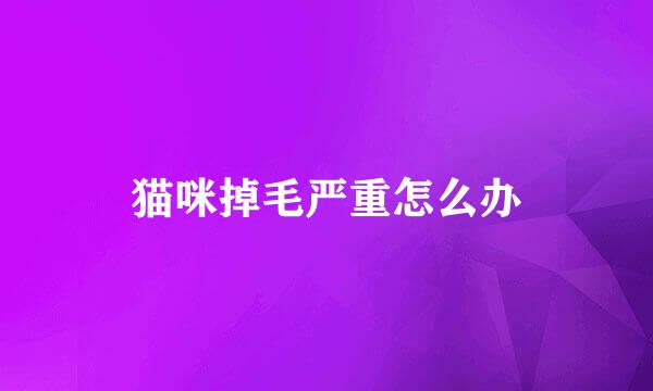 猫咪掉毛严重怎么办