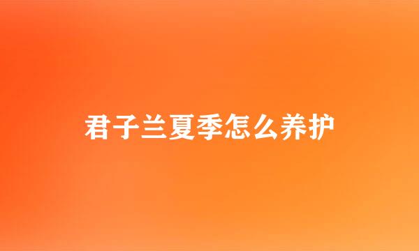 君子兰夏季怎么养护
